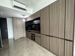 Irwell Hill Residences (D9), Apartment #458494871